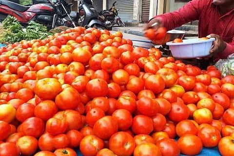 Tomato