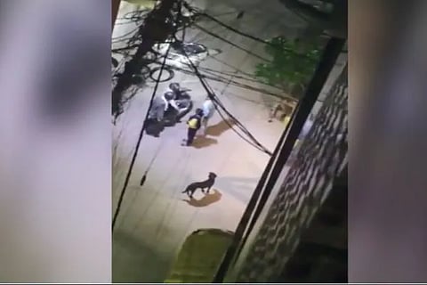 robbery