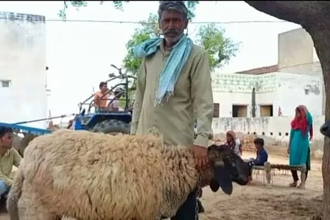 rajasthan