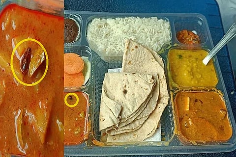 cockroch at railway food