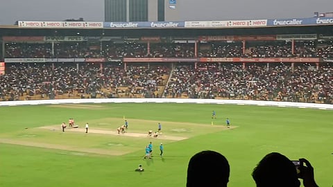 cricket