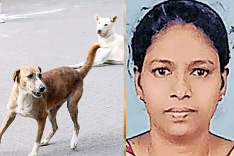 dog (1)