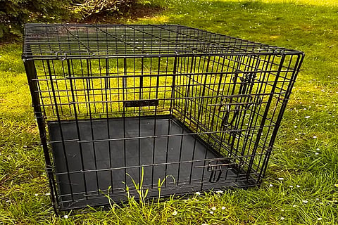 dog crate