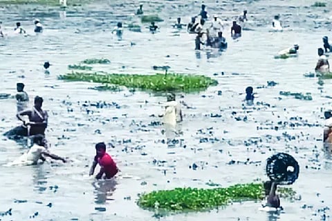 fishing