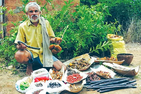 Seeds of various plants