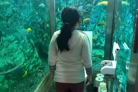 japan toilet