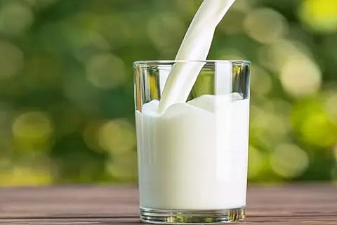milk