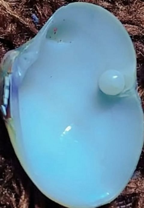 muttu in gokarna