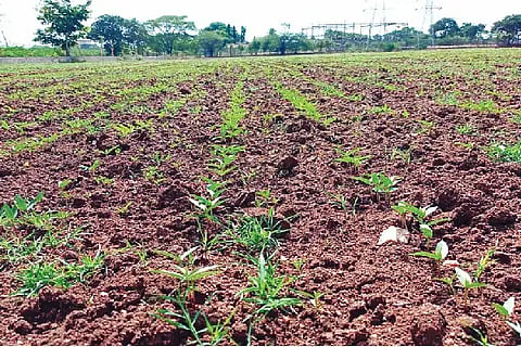 nrgl agri story
