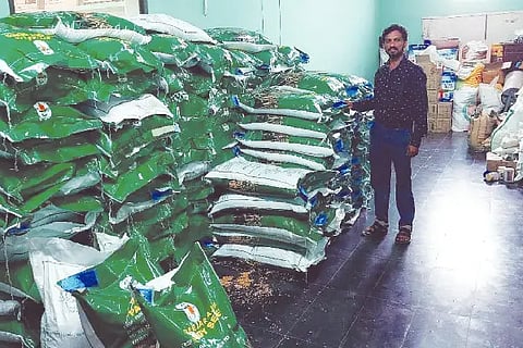 Stock of rice seed