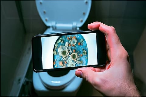 toilet seat