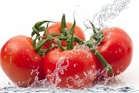 tomato