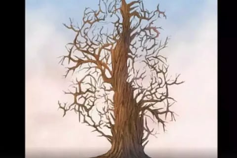 tree