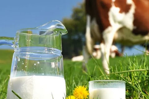 worldmilkday