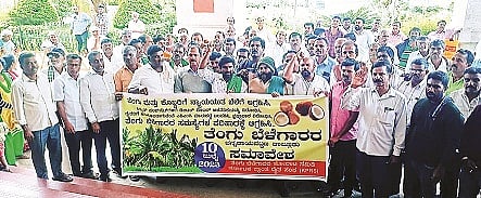 ಫೋಟೋ ಶೀರ್ಷಿಕೆ 11 ಸಿಆರ್_ಪಿ-1 ಬಿ