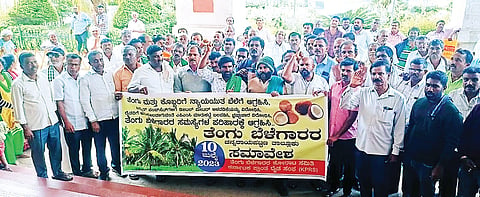 ಫೋಟೋ ಶೀರ್ಷಿಕೆ 11 ಸಿಆರ್_ಪಿ-1 ಬಿ