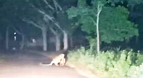 09M.D.R.8