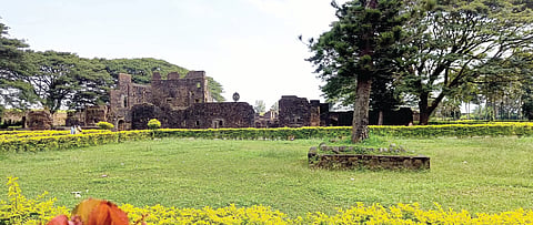10kittur2-STORYd.jpg