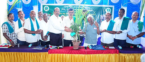 11raju3