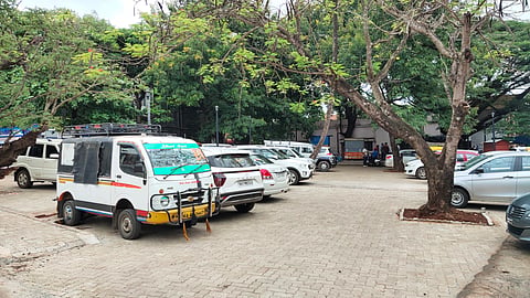 16-Jaggu-2.jpg