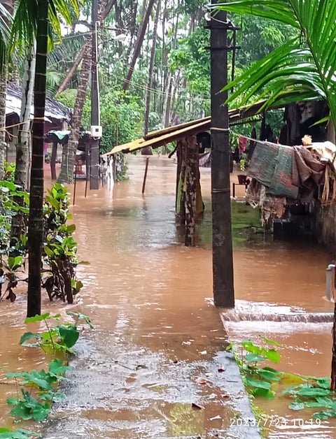23hnr rain havoc