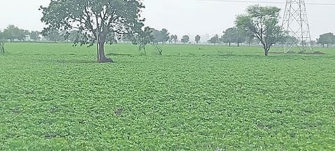2407Klb04