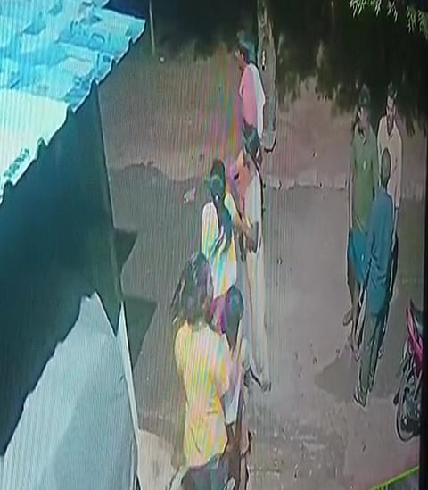 24_koli