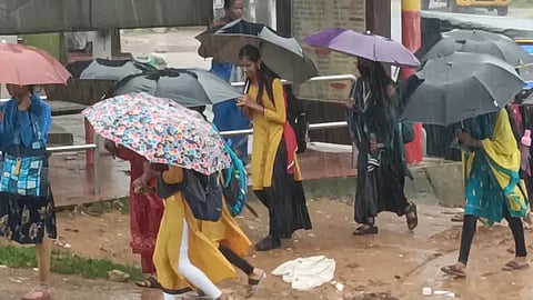 5hos1 p rain
