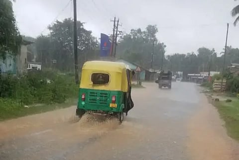 7 hos rain 02