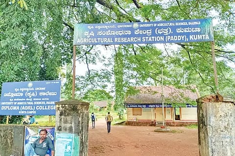 Kumata Agriculture Research Station.
