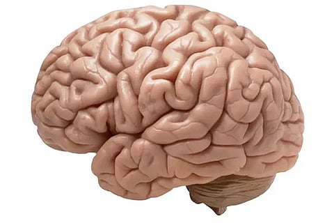 Brain health