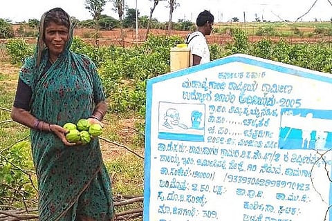 CTD 21 TIPPIRAMMA--03
