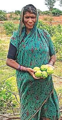 CTD 21 TIPPIRAMMA (2)