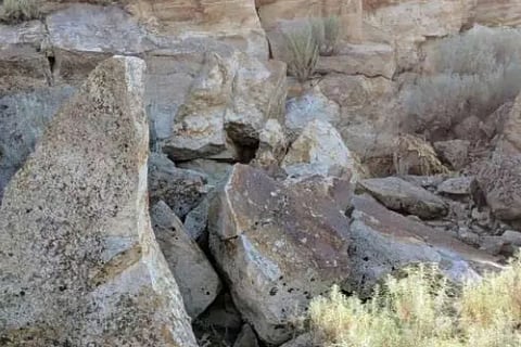 Challenge your eyesight and find the rabbit hidden among the rocks in 6 seconds