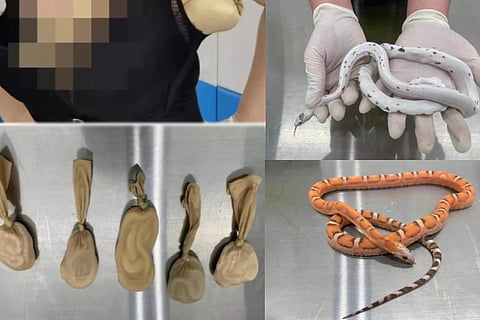 China Woman Snakes