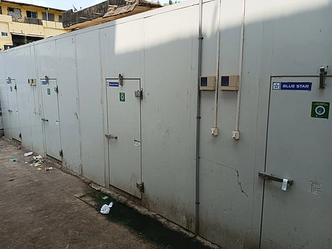 Cold storage west in Karwar fish Market