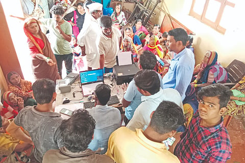 Continued search for Grilahakshmi