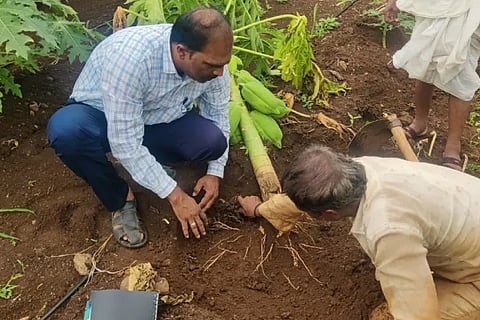 Control root rot