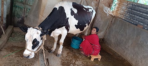 doddaballapura story