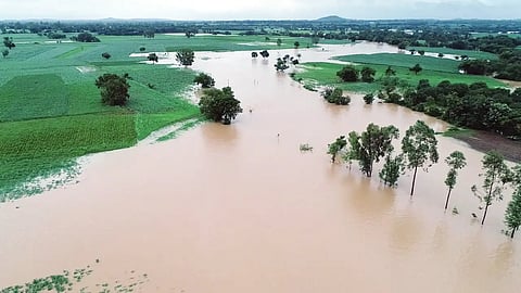 Dharma River