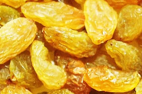 Dry Grapes