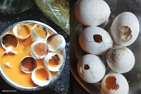 Eggs