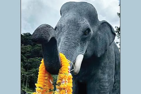 Elephant (1)
