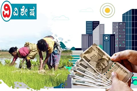 Farmer Budget