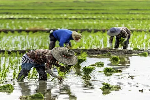 Farmers-Day