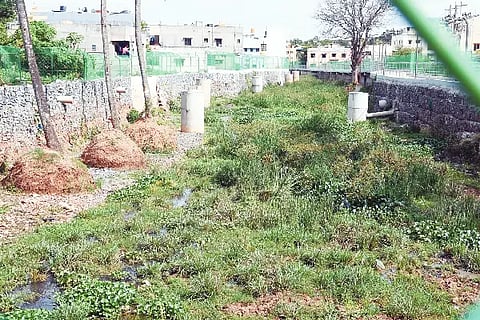 Green coridor