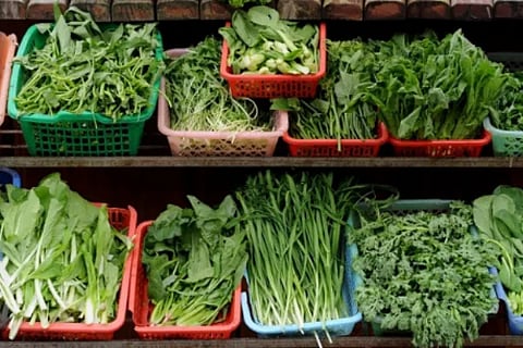 Greens