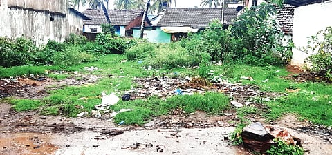 Hanagal plot