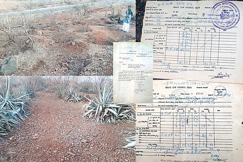 Hatti Govt land