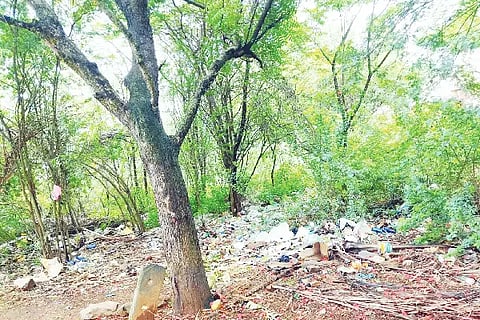 Haveri vacant site
